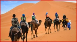 Camel trek Merzouga desert - Camel trekking Sahara desert Erg Chebbi