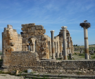 1 day trip from Fez to volubilis