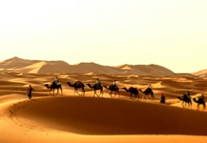 2 weeks adventure tour from Marrakech - 14 days Morocco desert tour