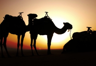 Erfoud excursions - Excursions in Merzouga desert - Baraka Travel