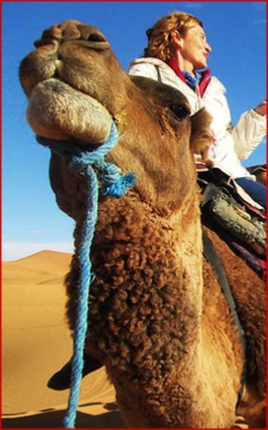 Baraka Travel Morocco - Private tours from Marrakech - Transport and Travel Agency