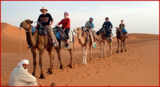 Camel trek Merzouga desert - Camel trekking Sahara desert Erg Chebbi