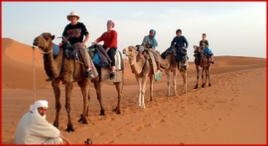 Camel trek Merzouga desert - Camel trekking Sahara desert Erg Chebbi