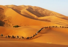 7 days adventure Tour from Casablanca