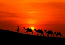 private 5 days Fes tour to Merzouga and Marrakech - Morocco desert travel