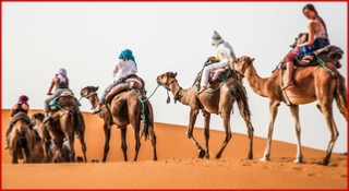 Camel trek Merzouga desert - Camel trekking Sahara desert Erg Chebbi