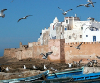 day trip to Essaouira